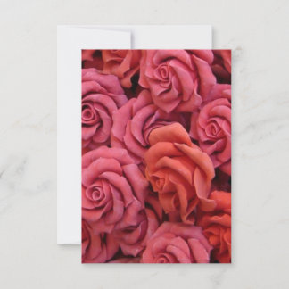 Rosas rosadas