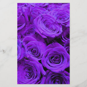 rosas roxas violetas românticas, buquê de rosa bon