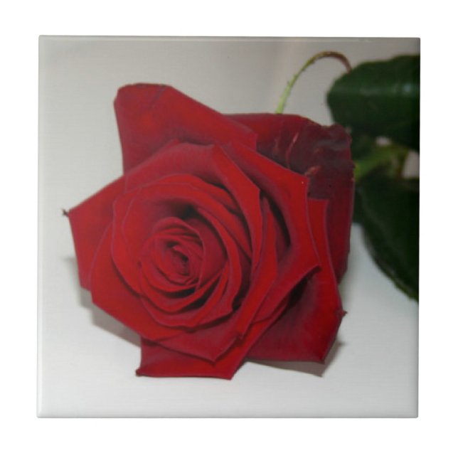 Rosas São Azulejo Vermelho (Frente)