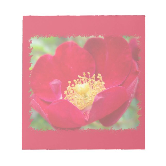 Rosas são Bloco de Notas Vermelho (Frente)