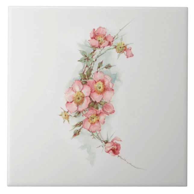 Rosas Selvagens de Estilo Pintado Manipulado (Frente)