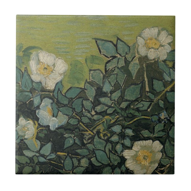 Rosas selvagens de Vincent van Gogh (Frente)