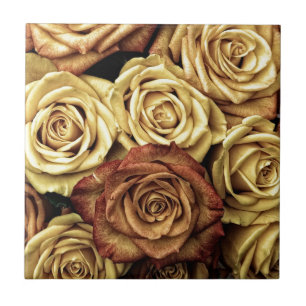 Rosas Sepia Desbotadas