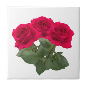 Rosas vermelhas