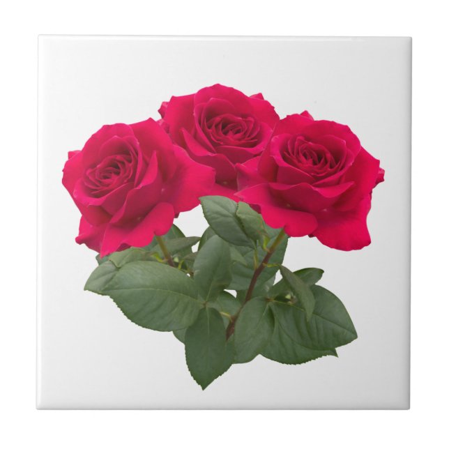 Rosas vermelhas (Frente)