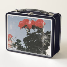Rosas Vermelhas Antigas Contra um Céu Azul