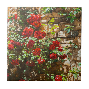 Rosas Vermelhas Contra uma Parede de Pedra