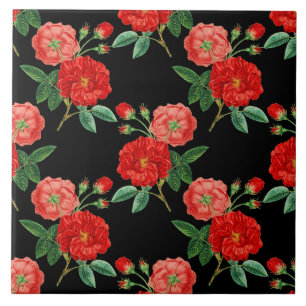 Rosas Vermelhas, Fundo Preto,