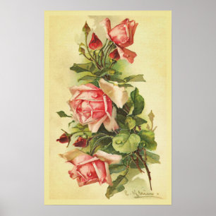 Rosas Vintage com Poster de gotas de poeira