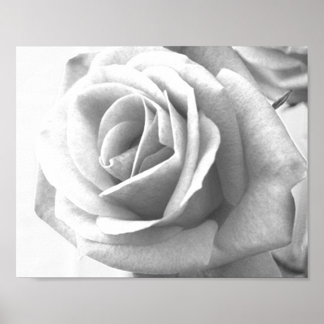 Rose Poster Print (Frente)