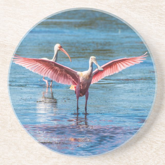 Roseate Spoonbill Porta copos Sandstone (Frente)