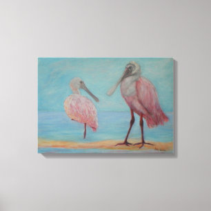 ROSEATE SPOONBILLS IN FLORIDA Canvas Print