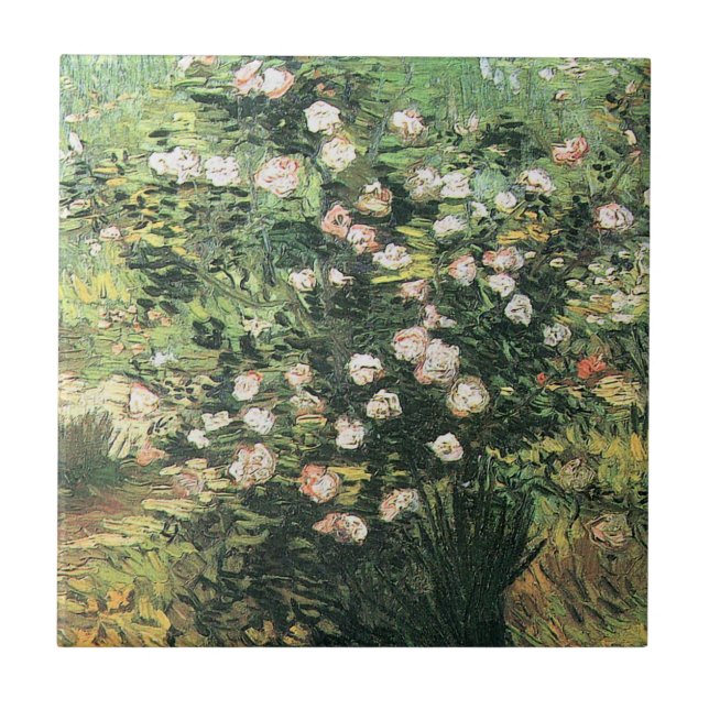 Roseira em Flor por Vincent van Gogh (Frente)