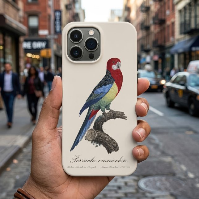 Rosela-oriental ou periquito Platycercus eximius (Eastern rosella or Platycercus eximius parakeet. iPhone Case)