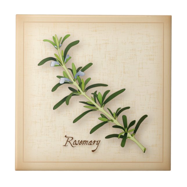 Rosemary Herb (Frente)