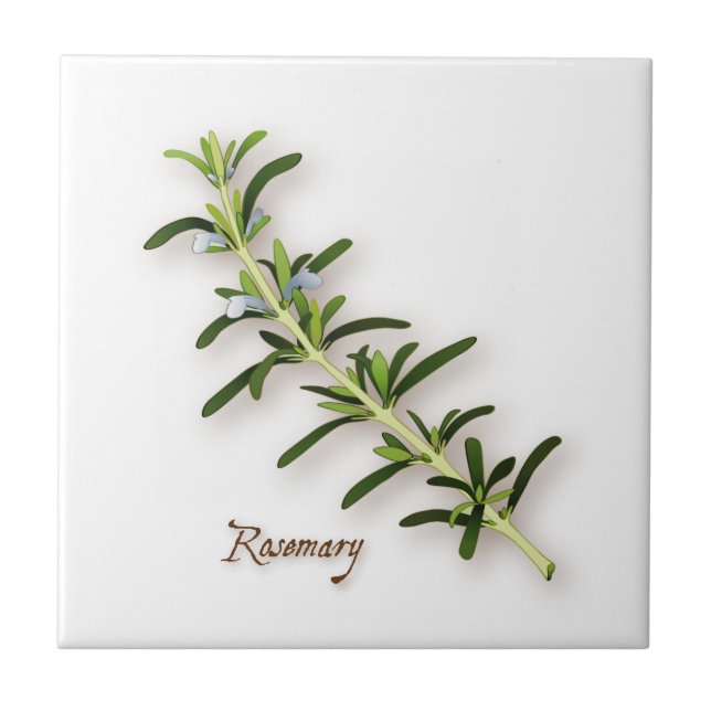 Rosemary Herb Azulejo (Frente)