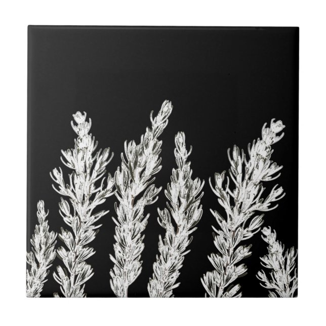 Rosemary Herb deixa branquelo preto (Frente)