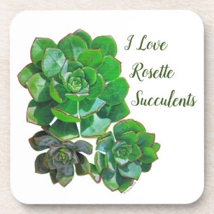 Rosette Succults Porta copos plástica