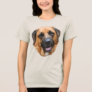 Rosto de cachorro Mastiff Americano
