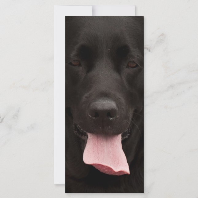 Rosto de cachorro preto (Frente)