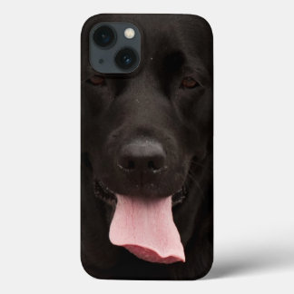 Rosto de cachorro preto