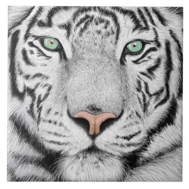 Rosto de Tigre de Neve (Frente)