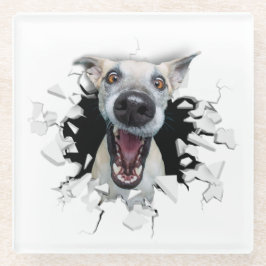 Rosto engraçado de cachorro