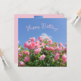 Rosto rosa rosa rosa rosa sob o céu azul, personal