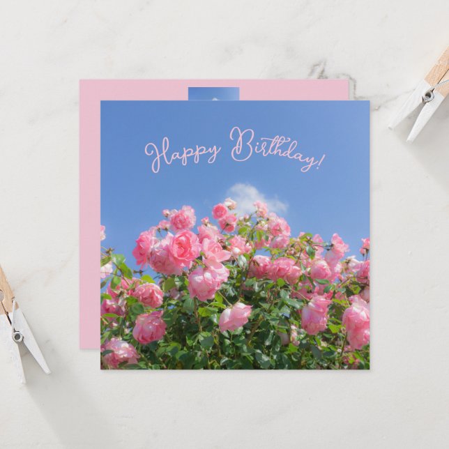 Rosto rosa rosa rosa rosa sob o céu azul, personal (Frente/Verso In Situ)