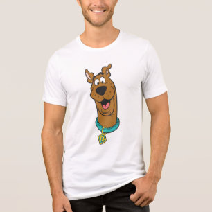 Rosto Scooby-Doo Sorrindo