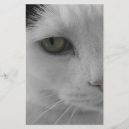 Rostos de gatos pretos e brancos