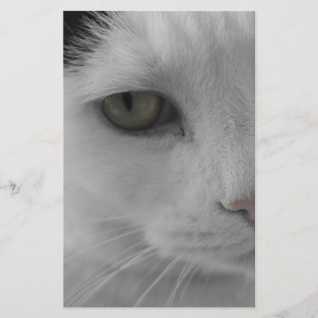 Rostos de gatos pretos e brancos (Frente)