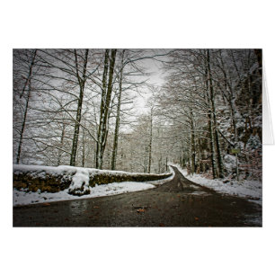 Roteiro para o Futuro - Cartão Saudável