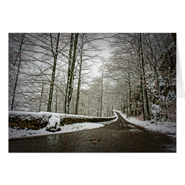 Roteiro para o Futuro - Cartão Saudável (Frente Horizontal)