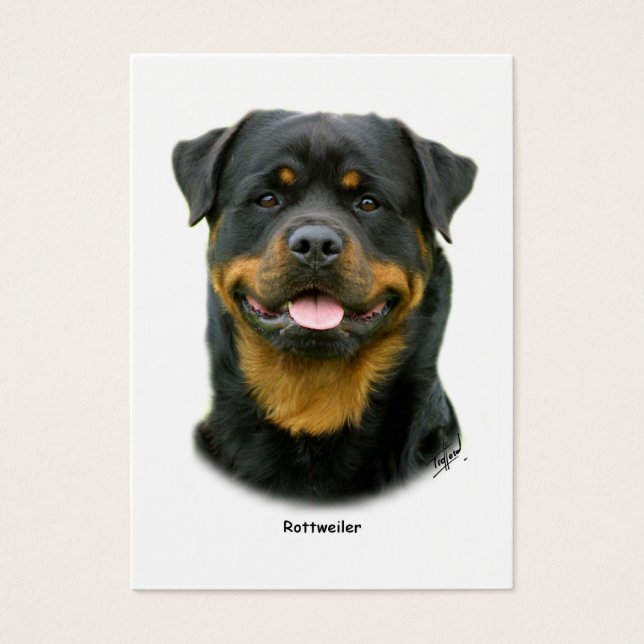 Rottweiler (Frente)