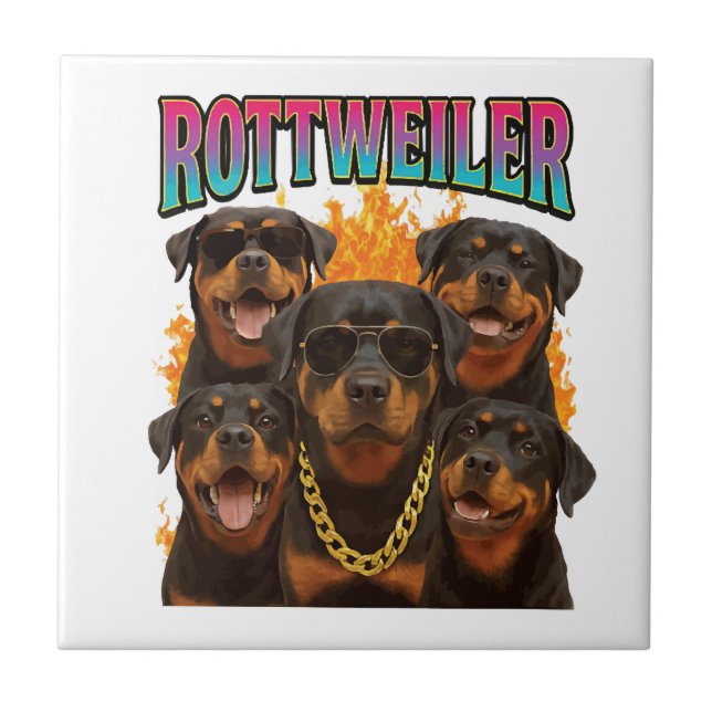 Rottweiler  (Frente)