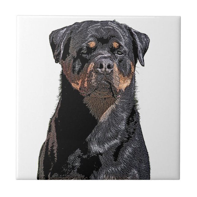 Rottweiler (Frente)