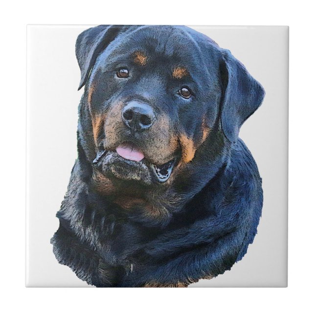 Rottweiler (Frente)