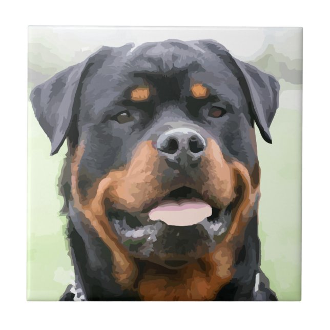 rottweiler (Frente)