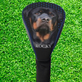  Rottweiler Blue  