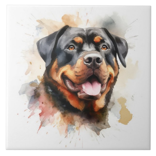 Rottweiler, Cão, aquarela (Frente)