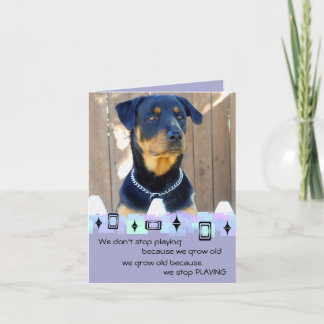 Rottweiler Cartões de aniversários