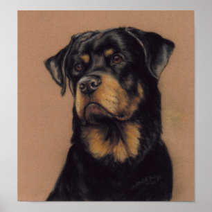 Rottweiler Dog Art Impressão