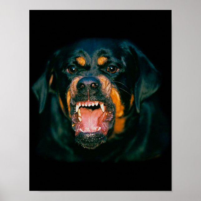 Rottweiler funny poster (Frente)