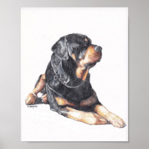 Rottweiler Lay Dog Art Impressão