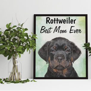 Rottweiler Melhor Poster da Mãe