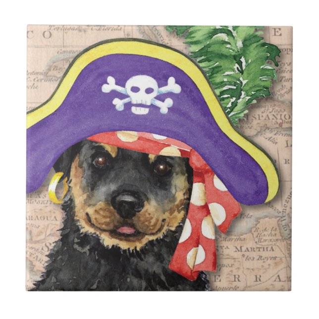 Rottweiler Pirate (Frente)