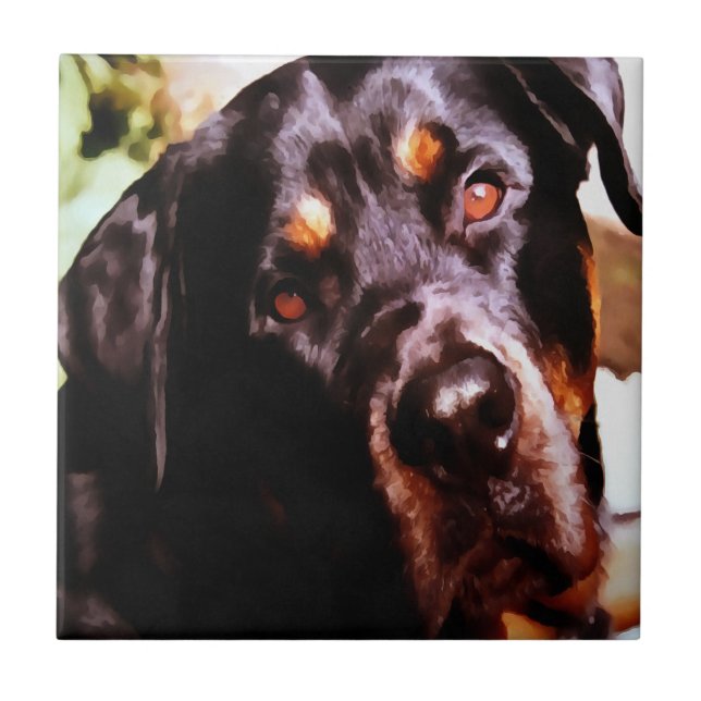 Rottweiler Portait Artístico Pet (Frente)
