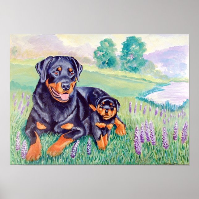 Rottweiler Poster (Frente)
