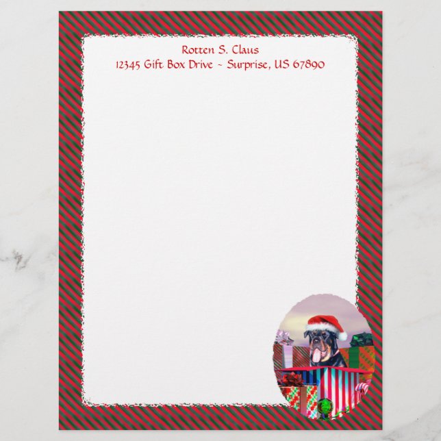 Rottweiler Surpresa de Natal (Frente)